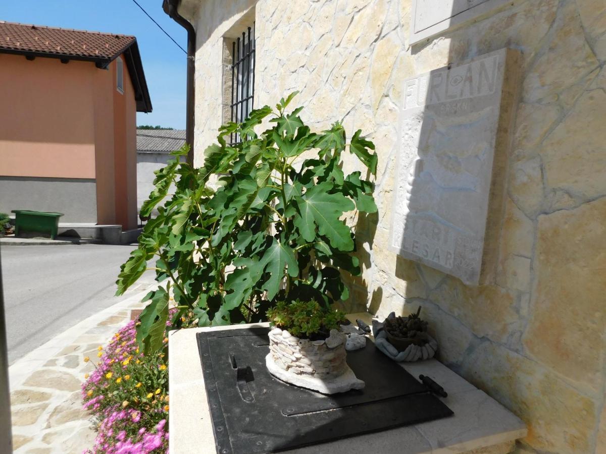 Vila Kamnita Hisa Stari Klesar Ilirska Bistrica Exteriér fotografie
